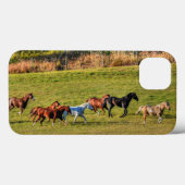 Reitende Reittier- und Reitwiesen Reittiere Foto Case-Mate iPhone Hülle (Rückseite (Horizontal))