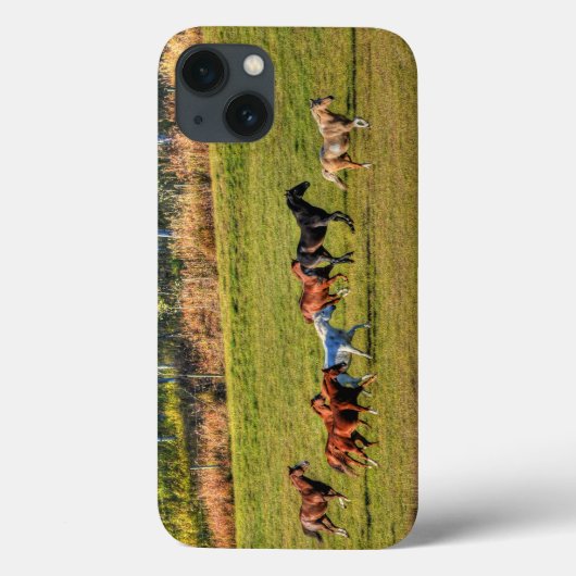 Reitende Reittier- und Reitwiesen Reittiere Foto Case-Mate iPhone Hülle (Rückseite)