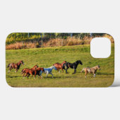 Reitende Reittier- und Reitwiesen Reittiere Foto Case-Mate iPhone Hülle (Rückseite (Horizontal))
