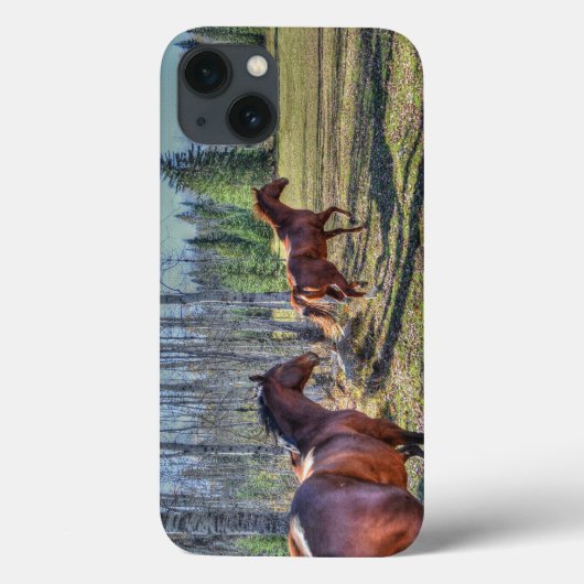 Reitende Reittier- und Reitwiesen Reittiere Foto Case-Mate iPhone Hülle (Rückseite)