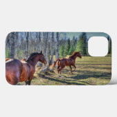 Reitende Reittier- und Reitwiesen Reittiere Foto Case-Mate iPhone Hülle (Rückseite (Horizontal))