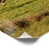 Reitende Reittier- und Reitwiesen Reittiere Foto Poster (Ecke)