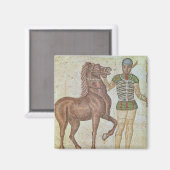 Reiter in Rennfarben Magnet (Vorderseite/Rückseite)