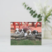 Reiter King Charles Spaniel Litter Postkarte (Stehend Vorderseite)