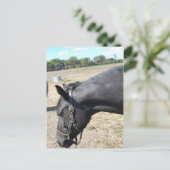 Reiter Lover Postkarte (Stehend Vorderseite)