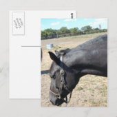Reiter Lover Postkarte (Vorne/Hinten)