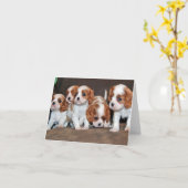 Reiter Pups Karte (Gelbe Blume)