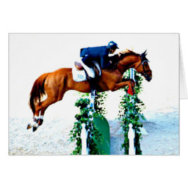 Reiter und Reiter im Jumperring