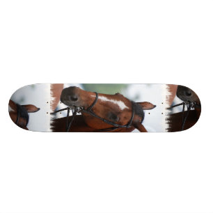 Reiterpferdeshow-Skateboard Skateboard