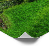 Reiterrassen Chiang Mai, Thailand Poster (Ecke)