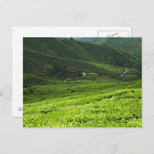 Reiterrassen Postkarte (Vorne/Hinten)