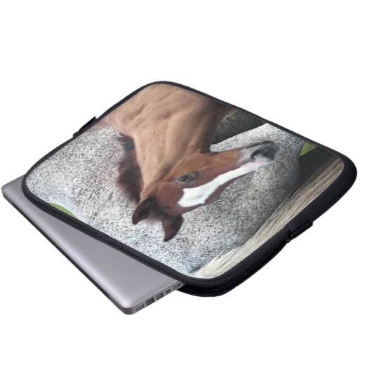 Reitfohlen Laptopschutzhülle (Vorne Knopf)