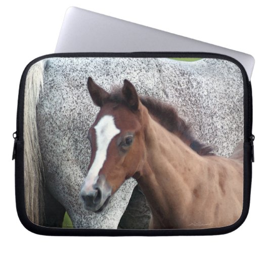 Reitfohlen Laptopschutzhülle (Vorderseite)