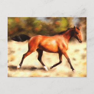 Reitfreund Spirit Horse Art Postkarte