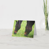 Reitfreunde weiden unbedruckte Karte (Vorderseite)