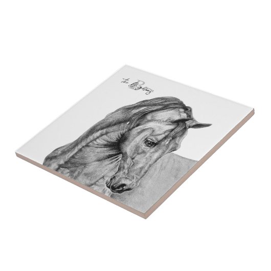 Reitkunststift zeichnend Schwarzweiß Fliese (Seite)