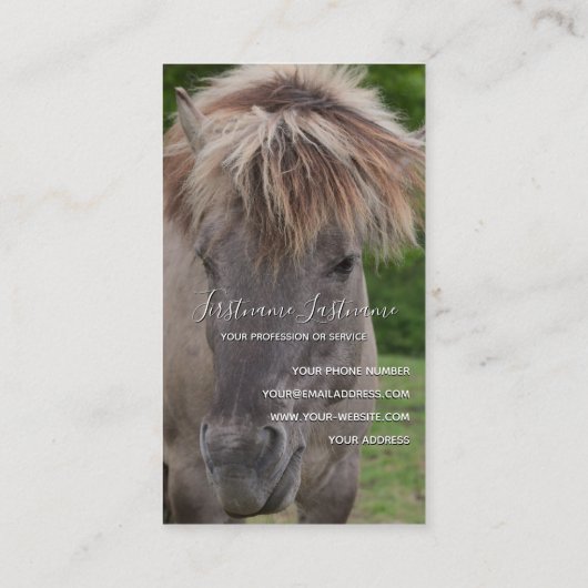 Reitlehrer Visitenkarte (Rückseite)