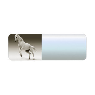 Reitpferd