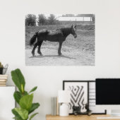 Reitpferd 1916 poster (Heimbüro)