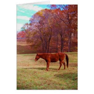 Reitpferd auf einem Grasfeld