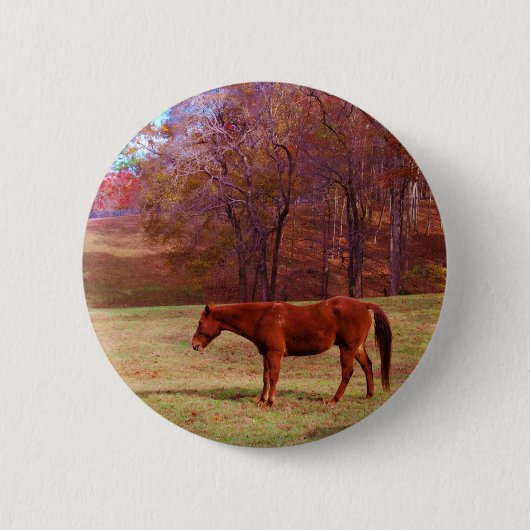 Reitpferd auf einem Grasfeld Button (Vorderseite)