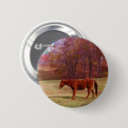 Reitpferd auf einem Grasfeld Button (Vorne & Hinten)