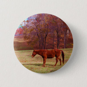 Reitpferd auf einem Grasfeld Button