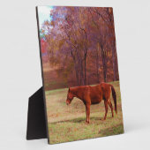 Reitpferd auf einem Grasfeld Fotoplatte (Seite)