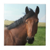 Reitpferd Fliese (Vorderseite)