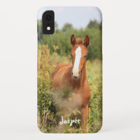 Reitpferd-Foto