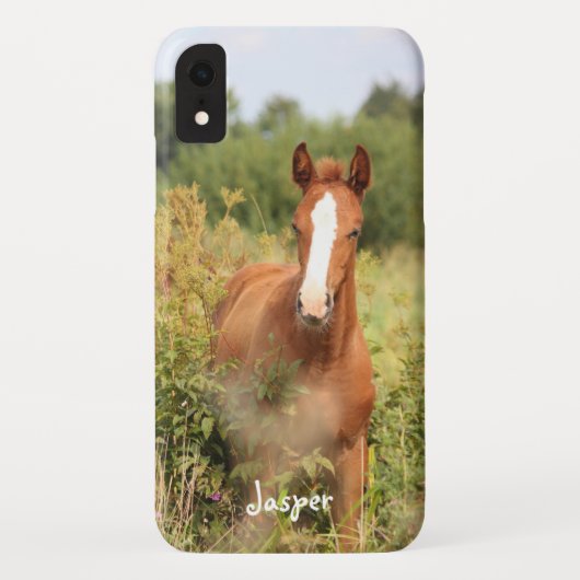 Reitpferd-Foto Case-Mate iPhone Hülle (Rückseite)