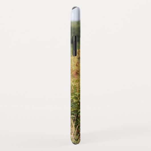 Reitpferd-Foto Case-Mate iPhone Hülle (Hinten/Rechts)