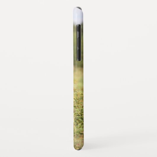 Reitpferd-Foto Case-Mate iPhone Hülle (Hinten/Links)