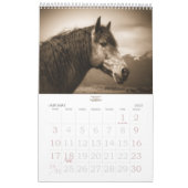 Reitpferd für das stabile Minded Years Kalender (Jan 2027)