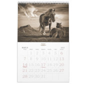 Reitpferd für das stabile Minded Years Kalender (Mär 2027)