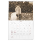 Reitpferd für das stabile Minded Years Kalender (Feb 2027)