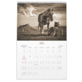 Reitpferd für das stabile Minded Years Kalender (Mär 2026)
