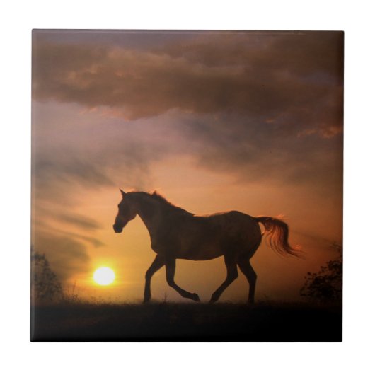 Reitpferd im Sonnenaufgang Art Tile Fliese (Vorderseite)