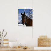 Reitpferd im Winter Poster (Küche)