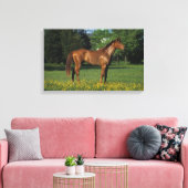 Reitpferd in Blume Leinwanddruck (Insitu (Wohnzimmer))