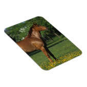 Reitpferd in Blume Magnet (Rechte Seite)