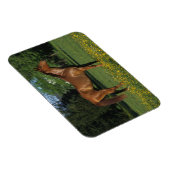 Reitpferd in Blume Magnet (Rechte Seite)