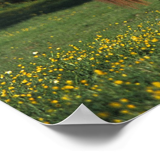 Reitpferd in Blume Poster (Ecke)