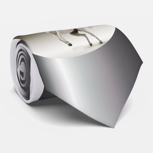 Reitpferd Krawatte (Gerollt)