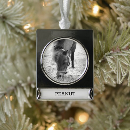 Reitpferd Lover FOTO NAME Keepake Banner-Ornament Silber (Baum)