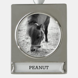 Reitpferd Lover FOTO NAME Keepake Banner-Ornament Silber