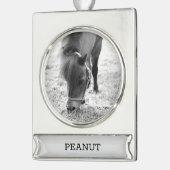 Reitpferd Lover FOTO NAME Keepake Banner-Ornament Silber (Links)