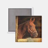 Reitpferd Magnet (Vorderseite/Rückseite)