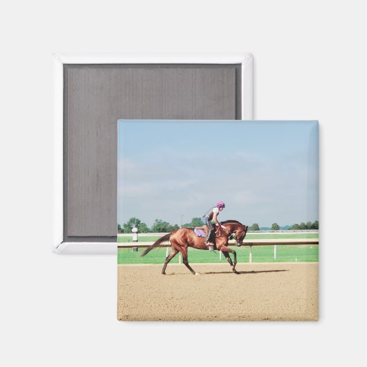 Reitpferd Magnet (Vorderseite/Rückseite)