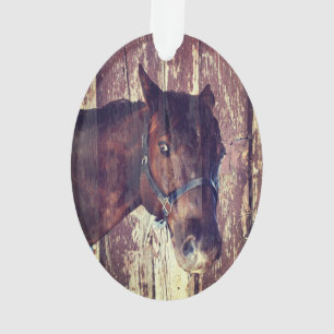 Reitpferd mit braunen Augen sieht mich an Ornament